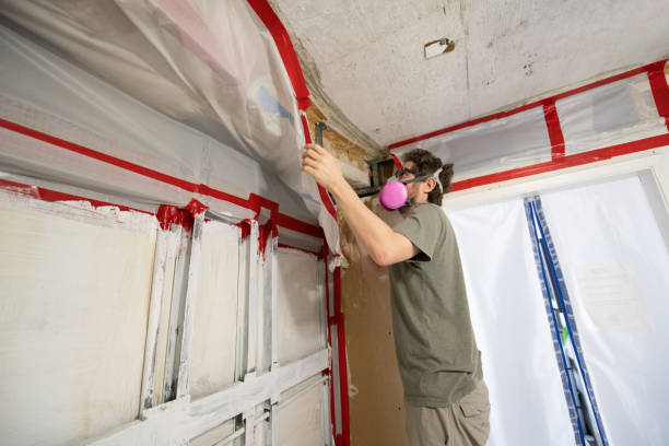 Best Mold Prevention Services  in Saline, MI